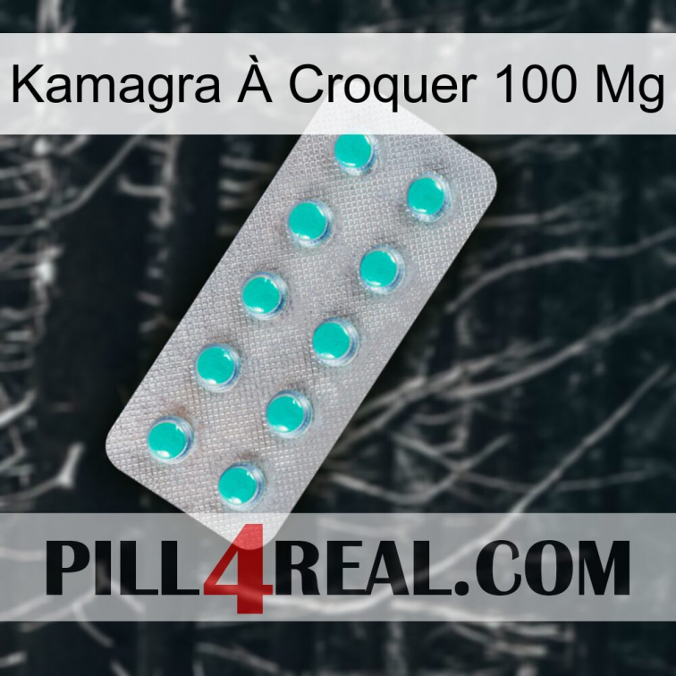 Kamagra À Croquer 100 Mg 28